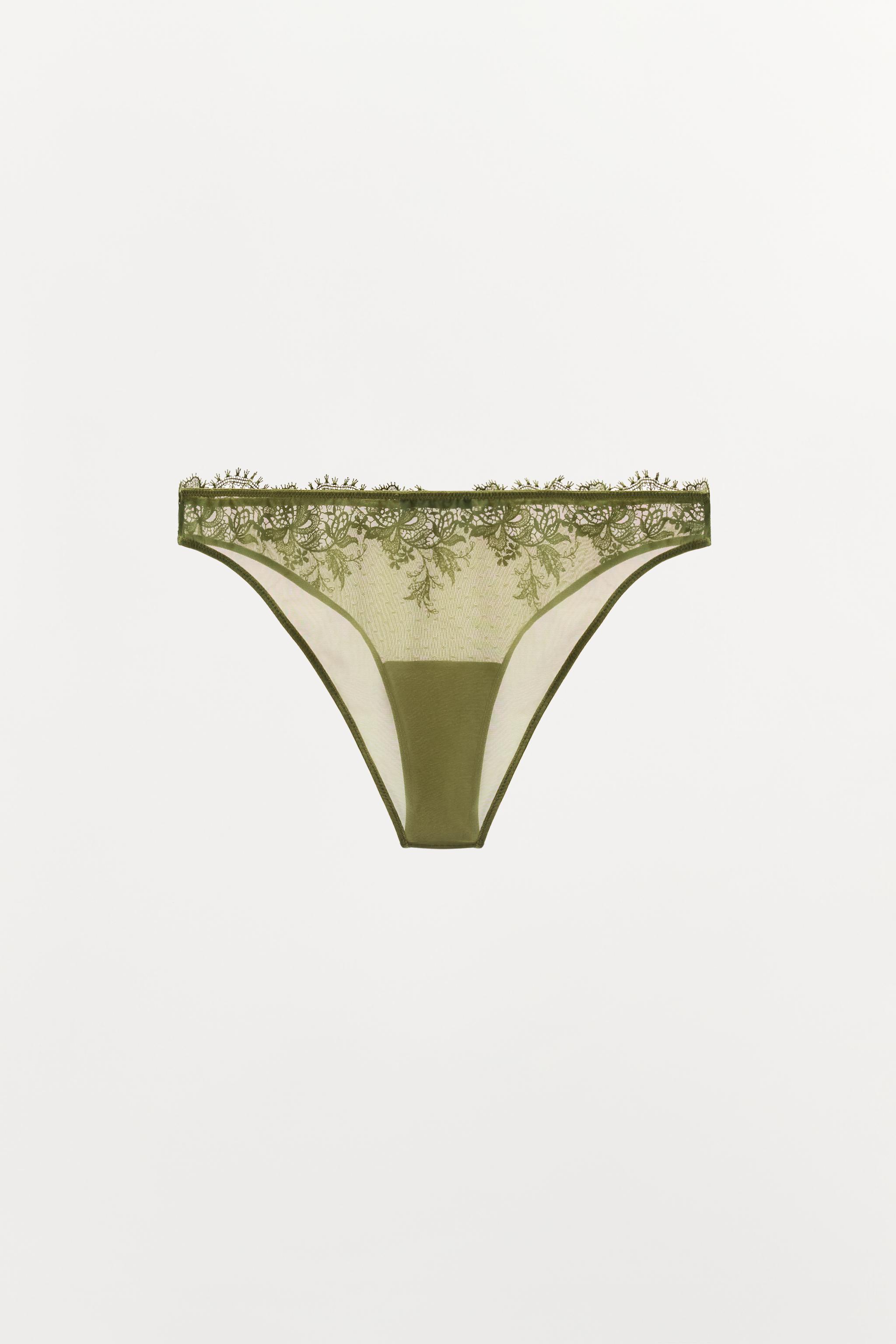 DOTTED MESH LACE PANTIES
